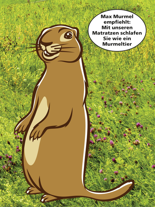 Matratzen & Topper - 7-Zonen-Bonnellfederkern-Matratze von f.a.n., in Größe 129 (80/190 cm) bis 135 (140/200 cm), in Farbe , in Ausführung Komfort Ansicht 2