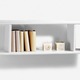 Büromöbel - Hängeregal, waagrecht oder senkrecht aufzuhängen, in Farbe WEISS, in Ausführung Hängeregal