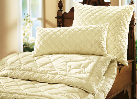 Wohnen - F.a.n.-Bettwarenprogramm mit feinsten und hochwertigen Edelhaaren, in Größe 103 (135/200 cm) bis 112 (200/200 cm), in Farbe NATUR, in Ausführung Leicht-Steppbett – Farbe NATUR – Ansicht 