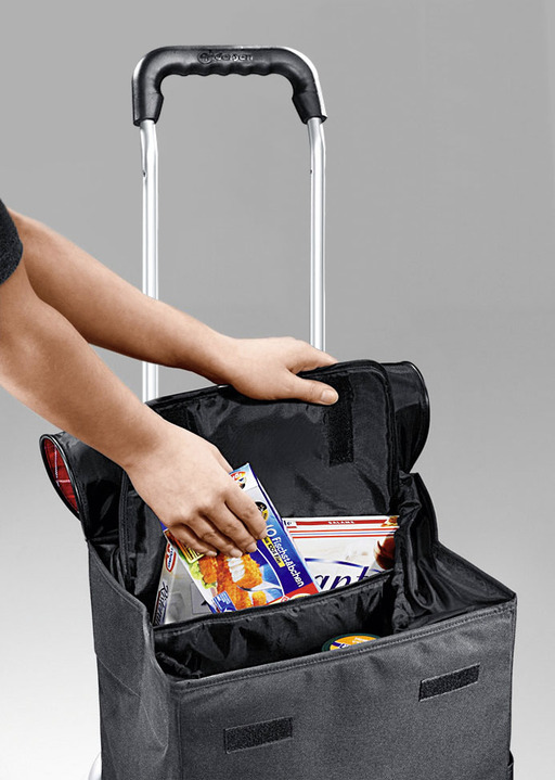 Mobilität - Profi-Einkaufsroller mit extragroßen Rädern, in Farbe SCHWARZ, in Ausführung Einkaufsroller Ansicht 3