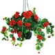 Garten - Geranien-Hängeampel mit täuschend echt wirkenden Geranien, in Farbe PINK – Farbe ROT – Ansicht 2