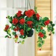 Garten - Geranien-Hängeampel mit täuschend echt wirkenden Geranien, in Farbe PINK – Farbe ROT – Ansicht 1