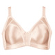 T-Shirt BH - Naturana Minimizer-BH mit vorgeformten Cups – Farbe ZARTAPRICOT – Ansicht 2 T-Shirt BH - Naturana Minimizer-BH mit vorgeformten Cups, in Größe 075 bis 105, in Cup B, in Farbe ZARTAPRICOT – Farbe ZARTAPRICOT – Ansicht 2