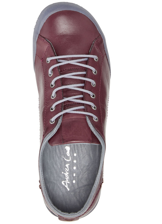 - Andrea Conti Schnürschuh mit Kontrast-Einfassung, in Größe 036 bis 042, in Farbe BORDEAUX Ansicht 3