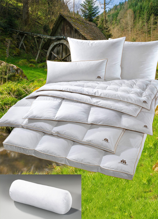 Bettwaren - Daunenprogramm Schwarzwald aus dem Hause OBB, in Größe 103 (Bett, 135/200 cm) bis 403 (4-teiliges Sparset), in Farbe WEISS, in Ausführung Kissen