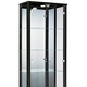 Möbel - Vitrine, 2-türig, mit LED-Beleuchtung, in Farbe SCHWARZ