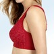 Soft-BH - Miss Mary BH mit unterlegter Elastikspitze im Vorderteil – Farbe ROT – Ansicht 2 Soft-BH - Miss Mary BH mit unterlegter Elastikspitze im Vorderteil, in Größe 075 bis 110, in Cup B, in Farbe ANTHRAZIT – Farbe ROT – Ansicht 2