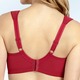 Soft-BH - Miss Mary BH mit unterlegter Elastikspitze im Vorderteil – Farbe ROT – Ansicht 3 Soft-BH - Miss Mary BH mit unterlegter Elastikspitze im Vorderteil, in Größe 075 bis 110, in Cup B, in Farbe ANTHRAZIT – Farbe ROT – Ansicht 3