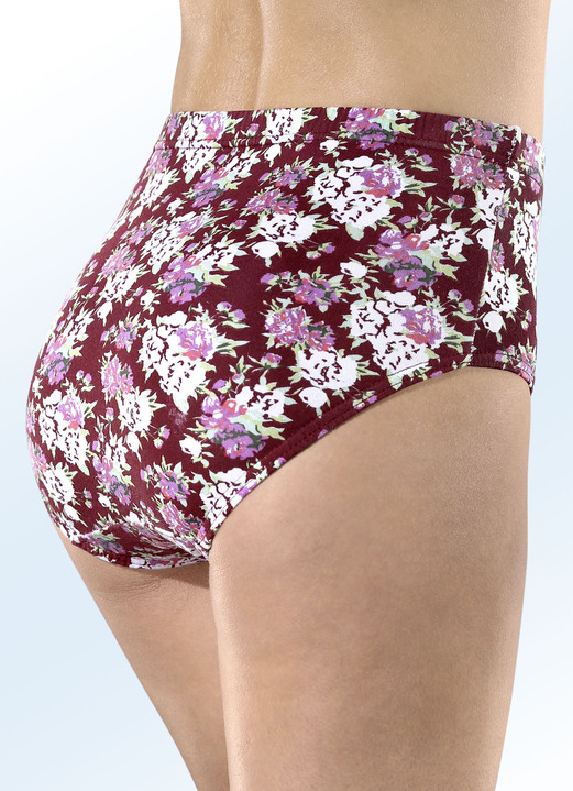 Slips - Fünferpack Slips mit Gummizug, in Größe 038 bis 056, in Farbe ZIEGELROT-BUNT Ansicht 2