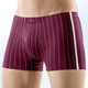 Pants & Boxershorts - Viererpack Pants, gestreift, in Größe 3XL (9) bis XXL (8), in Farbe 1X MARINE, 1X SCHWARZ, 1X JEANSBLAU, 1X BORDEAUX – Farbe 1X MARINE, 1X SCHWARZ, 1X JEANSBLAU, 1X BORDEAUX – Ansicht 4