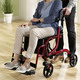 Mobilität - Rollator, auch als Rollstuhl nutzbar – Farbe ROT – Ansicht 1 Mobilität - Rollator, auch als Rollstuhl nutzbar, in Farbe ROT – Farbe ROT – Ansicht 1