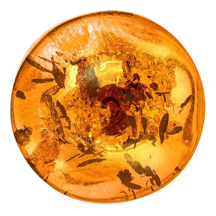 - Unikate: Ohrstecker mit echtem, cognacfarbenem Bernstein, in Farbe  Ansicht 2