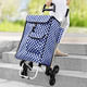 Praktische Hilfsmittel - Einkaufsroller mit Regenschirmhalter – Farbe BLAU-WEISS – Ansicht 1 Praktische Hilfsmittel - Einkaufsroller mit Regenschirmhalter, in Farbe BLAU-WEISS – Farbe BLAU-WEISS – Ansicht 1