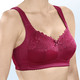 - BH mit elastischer Spitze, in Größe 080 bis 110, in Cup E, in Farbe BORDEAUX – Farbe BORDEAUX – Ansicht 1