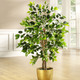 Kunst- & Textilpflanzen - Ficus im Topf, in Farbe GRÜN, in Ausführung groß