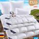 Bettwaren - Hochwertige Daunendecken-Serie von Spessarttraum – Farbe WEISS – Ansicht 1 Bettwaren - Hochwertige Daunendecken-Serie von Spessarttraum, in Größe 103 (Decke 135/200 cm) bis 403 (Sparset, 4-teilig, mit gratis Frottier-Katze), in Farbe WEISS, in Ausführung Leicht – Farbe WEISS – Ansicht 1