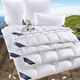 Bettwaren - Hochwertige Daunendecken-Serie von Spessarttraum – Farbe WEISS – Ansicht 2 Bettwaren - Hochwertige Daunendecken-Serie von Spessarttraum, in Größe 103 (Decke 135/200 cm) bis 403 (Sparset, 4-teilig, mit gratis Frottier-Katze), in Farbe WEISS, in Ausführung Leicht – Farbe WEISS – Ansicht 2
