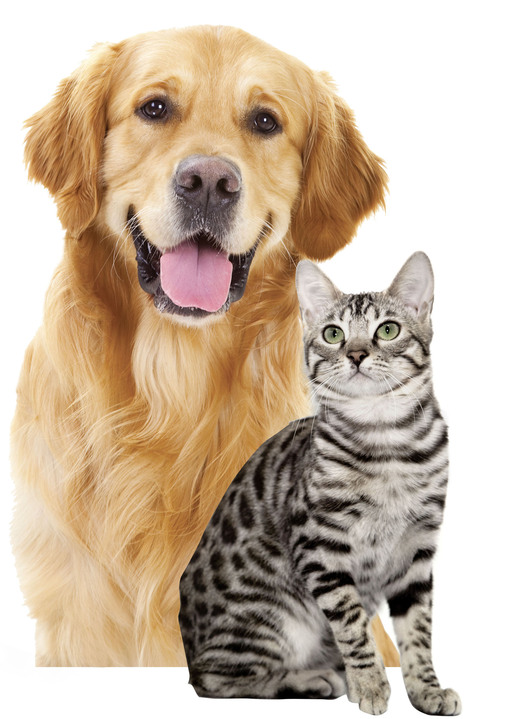 Reinigungshelfer & Reinigungsmittel - Fussel- und Tierhaarrolle Deluxe mit Akku, in Farbe GRAU Ansicht 8