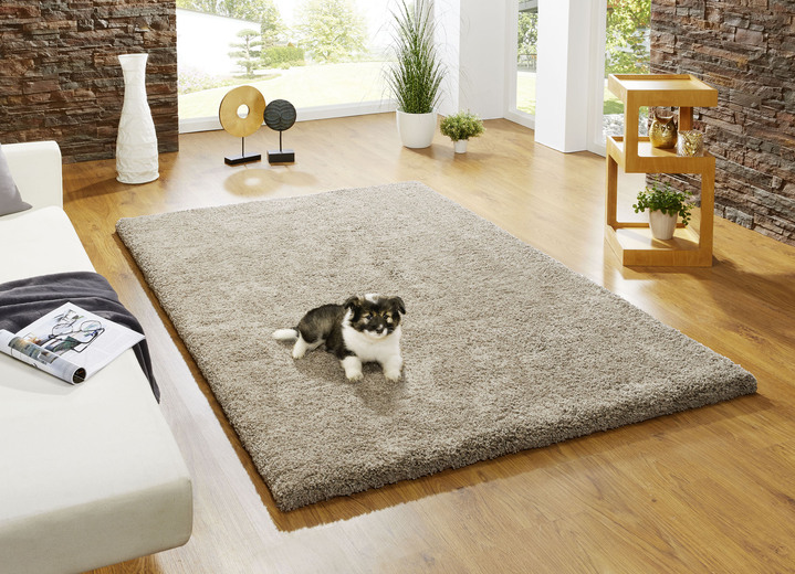 Modern - Kombistarke Brücken, Galerien und Teppiche aus dichtgewebtem Shaggy-Flor, in Größe 111 (Brücke, 60x110 cm) bis 305 (Teppich, ø 160 cm), in Farbe BEIGE Ansicht 7