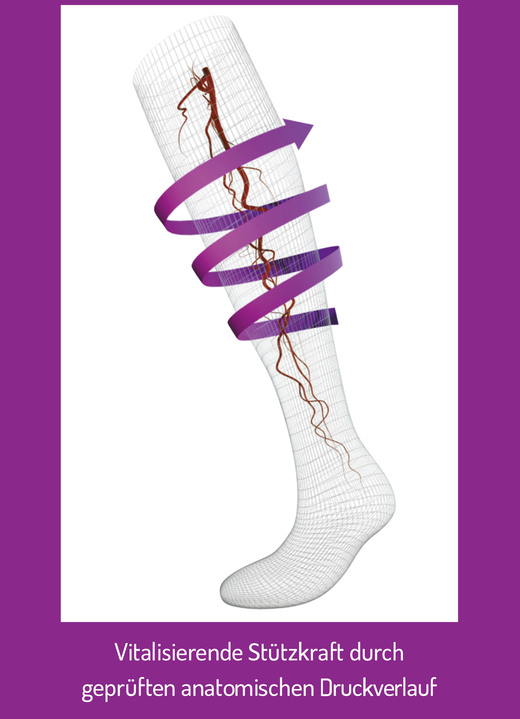 Gesundheitsstrümpfe - Dreierpack Vital-Stützkniestrümpfe, in Größe 001 bis 004, in Farbe MARINE, in Ausführung mit Baumwolle Ansicht 2