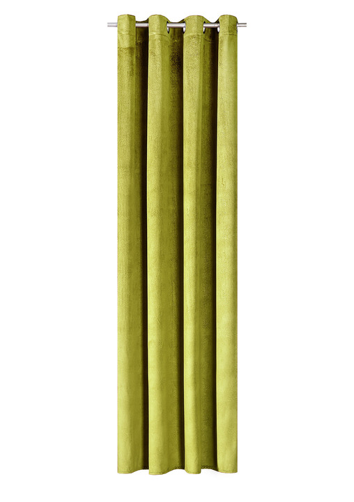 Klassisch - Energiespar-Verdunkelungsschals in Samtoptik, in Größe 364 (H150xB140 cm) bis 436 (H245xB140 cm), in Farbe CREME, in Ausführung mit Universalschienenband Ansicht 3