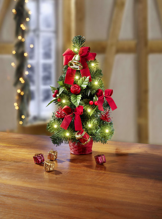 Beleuchteter Tannenbaum