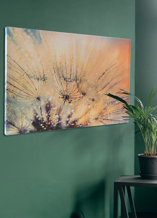 Bilder - Leinwandbild mit Zertifikat, in Farbe BUNT Ansicht 1