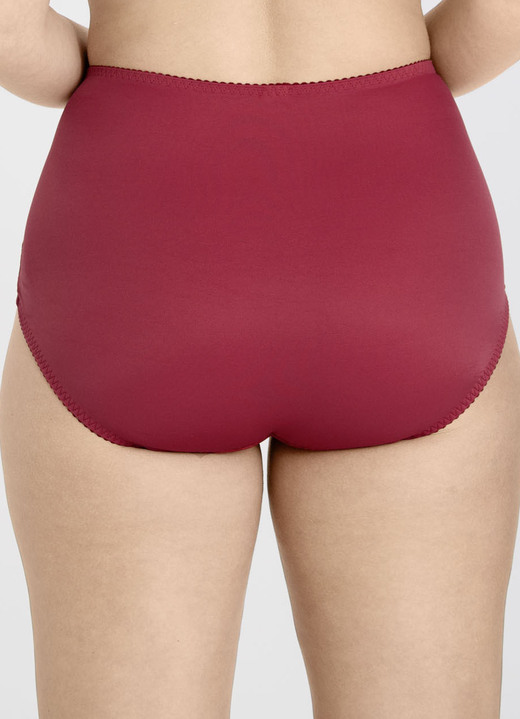 Slips - Miss Mary Miederslip mit unterlegter Elastikspitze im Vorderteil Ansicht 8 Slips - Miss Mary Miederslip mit unterlegter Elastikspitze im Vorderteil, in Größe 038 bis 056, in Farbe WEISS Ansicht 8