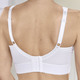Soft-BH - BH mit Elastikspitze im Vorderteil, in Größe 080 bis 120, in Cup D, in Farbe WEISS – Farbe WEISS – Ansicht 2