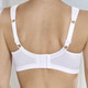 Soft-BH - BH mit Elastikspitze, in Größe 080 bis 110, in Cup D, in Farbe WEISS – Farbe WEISS – Ansicht 2