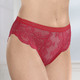 Dessous - Slip aus elastischer Spitze, in Größe 036 bis 050, in Farbe ROT – Farbe ROT – Ansicht 1