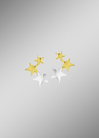 Attraktive Ohrstecker in Bicolor