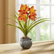 Kunst- & Textilpflanzen - Cymbidium-Orchidee im Zementtopf, in Farbe ORANGE – Farbe ORANGE – Ansicht 1