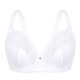 Bügel-BH - Sassa Bügel-BH mit elastischer Spitze – Farbe WEISS – Ansicht 3 Bügel-BH - Sassa Bügel-BH mit elastischer Spitze, in Größe 075 bis 100, in Cup C, in Farbe WEISS – Farbe WEISS – Ansicht 3