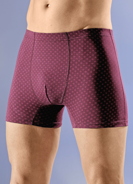 Pants & Boxershorts - Dreierpack Pants mit Dehnbund, in Größe 005 bis 011, in Farbe 2X MARINE, 1X BORDEAUX Ansicht 2