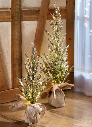Beleuchteter Tannenbaum in Jutesäckchen