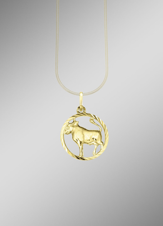 Anhänger - Sternzeichen-Anhänger in Silber 925/- fein, in Farbe  Ansicht 3