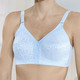 Soft-BH - Format BH mit unterlegten Spitzencups, in Größe 075 bis 110, in Cup G, in Farbe BLEU – Farbe BLEU – Ansicht 2