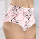 Damen - brio lingerie Viererpack Slips mit hübschem Floraldessin, in Größe 038 bis 054, in Farbe MINT-NAVY-TÜRKISGRÜN – Farbe ROSÉ-KORALLE-SCHWARZ – Ansicht 1