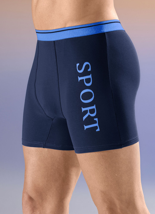 Pants & Boxershorts - Viererpack Pants mit Elastikbund, in Größe 004 bis 011, in Farbe 2X HELLBLAU, 2X MARINE Ansicht 2