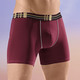 Pants & Boxershorts - Viererpack Pants mit Elastikbund, in Größe 005 bis 011, in Farbe 2X INDIGOBLAU, 2X BORDEAUX – Farbe 2X INDIGOBLAU, 2X BORDEAUX – Ansicht 2