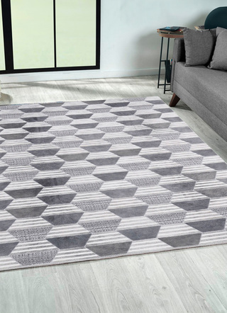 Modern - Robuste und pflegeleichte Teppiche, in Größe 109 (Brücke, 50 x 80 cm) bis 278 (Teppich, 190 x 280 cm), in Farbe GRAU – Farbe GRAU – Ansicht 