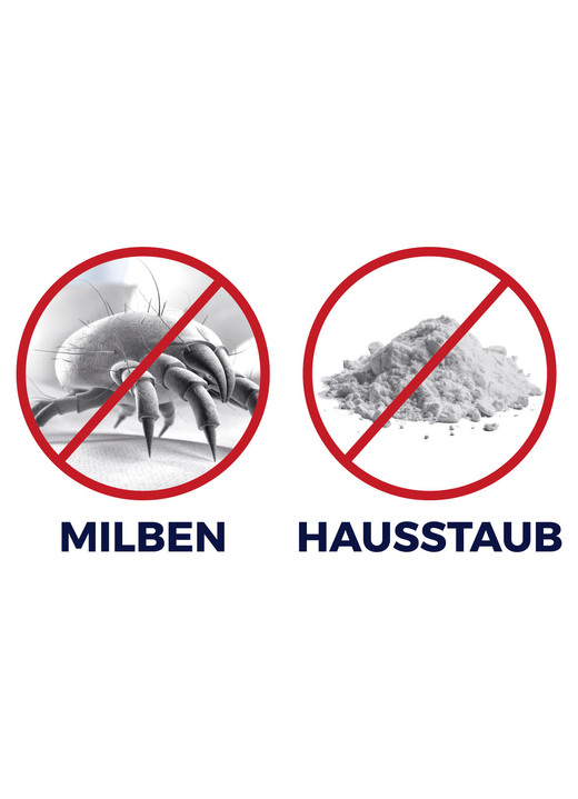 Mit Akku - Akku-Milbensauger , in Farbe WEISS-GRAU Ansicht 1