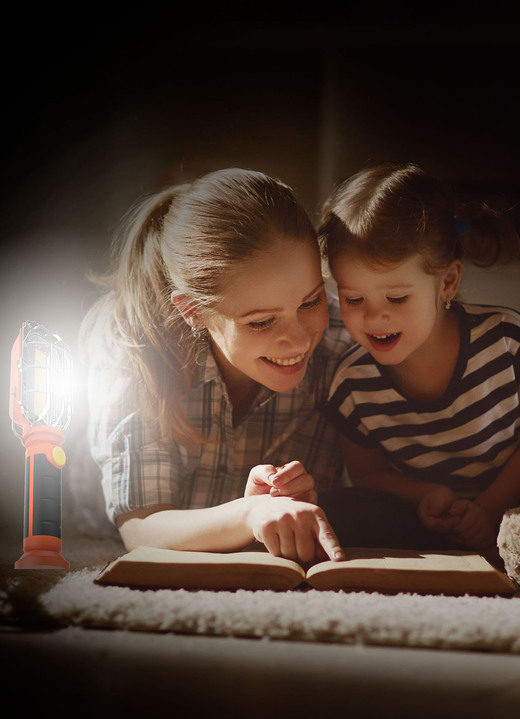 Beschäftigung - Universal-Leuchte Starlyf 