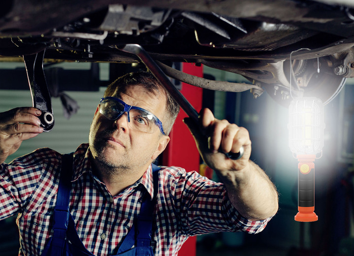 Beschäftigung - Universal-Leuchte Starlyf 