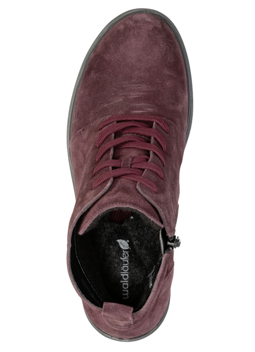 Stiefel & Stiefeletten - Waldläufer, bequeme Damen-Stiefeletten, Winterschuhe, Weite H, mit herausnehmbarem Fußbett, in Größe 3 1/2 bis 8, in Farbe MARINE Ansicht 5