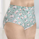 Slips - Viererpack Slips mit hübschem Blumendessin, in Größe 038 bis 056, in Farbe 2X JADE-PUDER-GRÜN BEDRUCKT, 2X JADE – Farbe 2X JADE-PUDER-GRÜN BEDRUCKT, 2X JADE – Ansicht 1