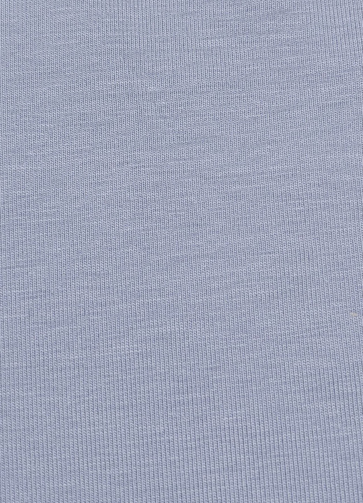 Slips - brio lingerie Viererpack Slips, in Größe 038 bis 054, in Farbe 2X PUDER-RAUCHBLAU BEDRUCKT, 2X RAUCHBLAU Ansicht 3