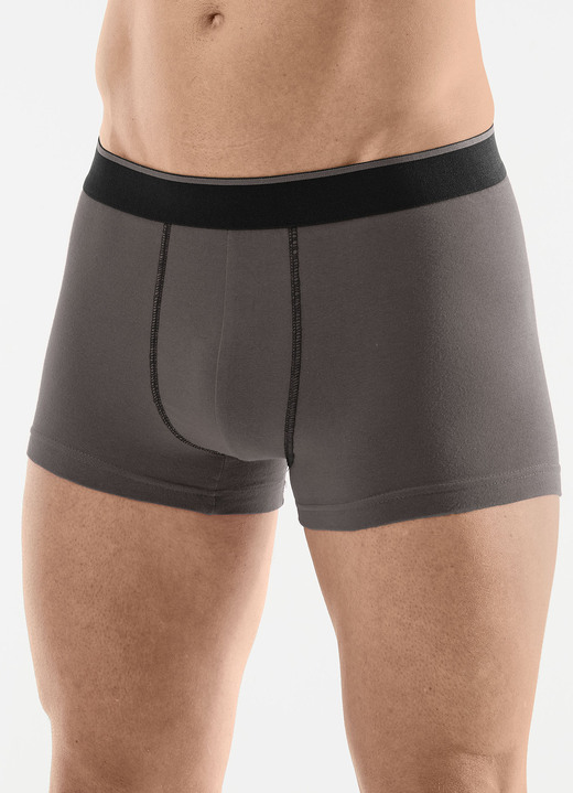 Pants & Boxershorts - Viererpack Pants mit Elastikbund, in Größe L (6) bis XXL (8), in Farbe 1X WEINROT, 1X SMARAGD, 1X SCHWARZ, 1X SCHIEFER Ansicht 3