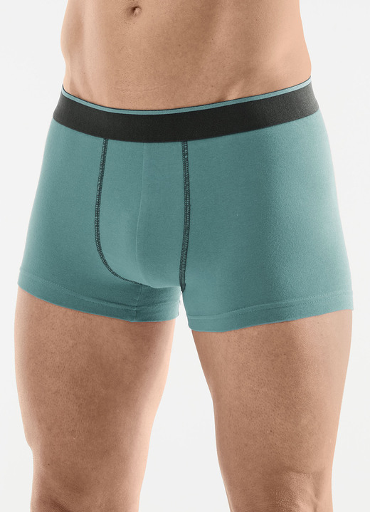 Pants & Boxershorts - Viererpack Pants mit Elastikbund, in Größe L (6) bis XXL (8), in Farbe 1X WEINROT, 1X SMARAGD, 1X SCHWARZ, 1X SCHIEFER Ansicht 2